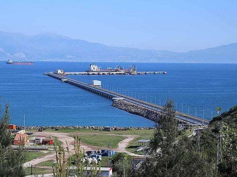 Yanvarmart aylarında Ceyhan limanının qəbul etdiyi yüklərin həcmi açıqlanıb