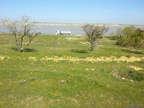 Torpağa görə əmisi oğlunu bıçaqladı 