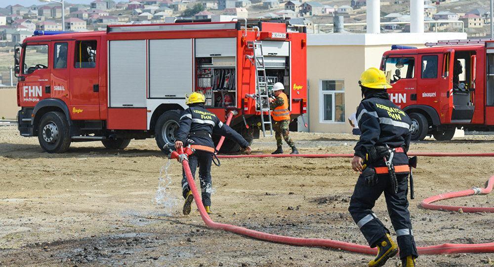 Sabunçuda quşçuluq sexində