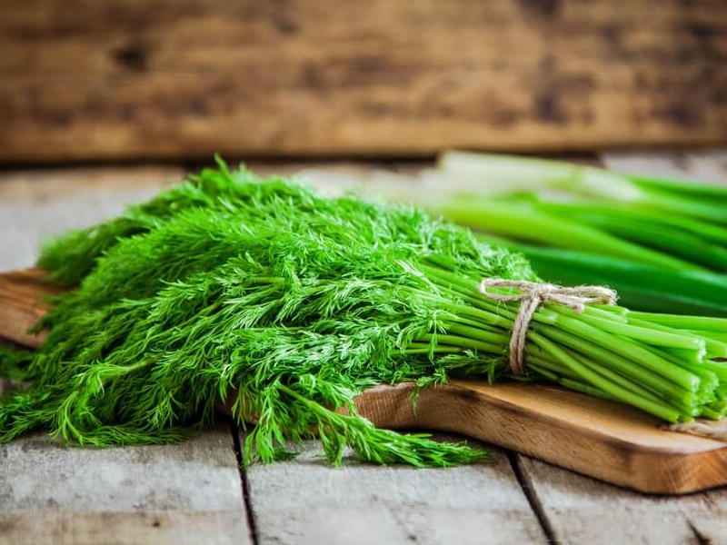 Dünyanın ən sağlam qidası şüyüd imiş... 