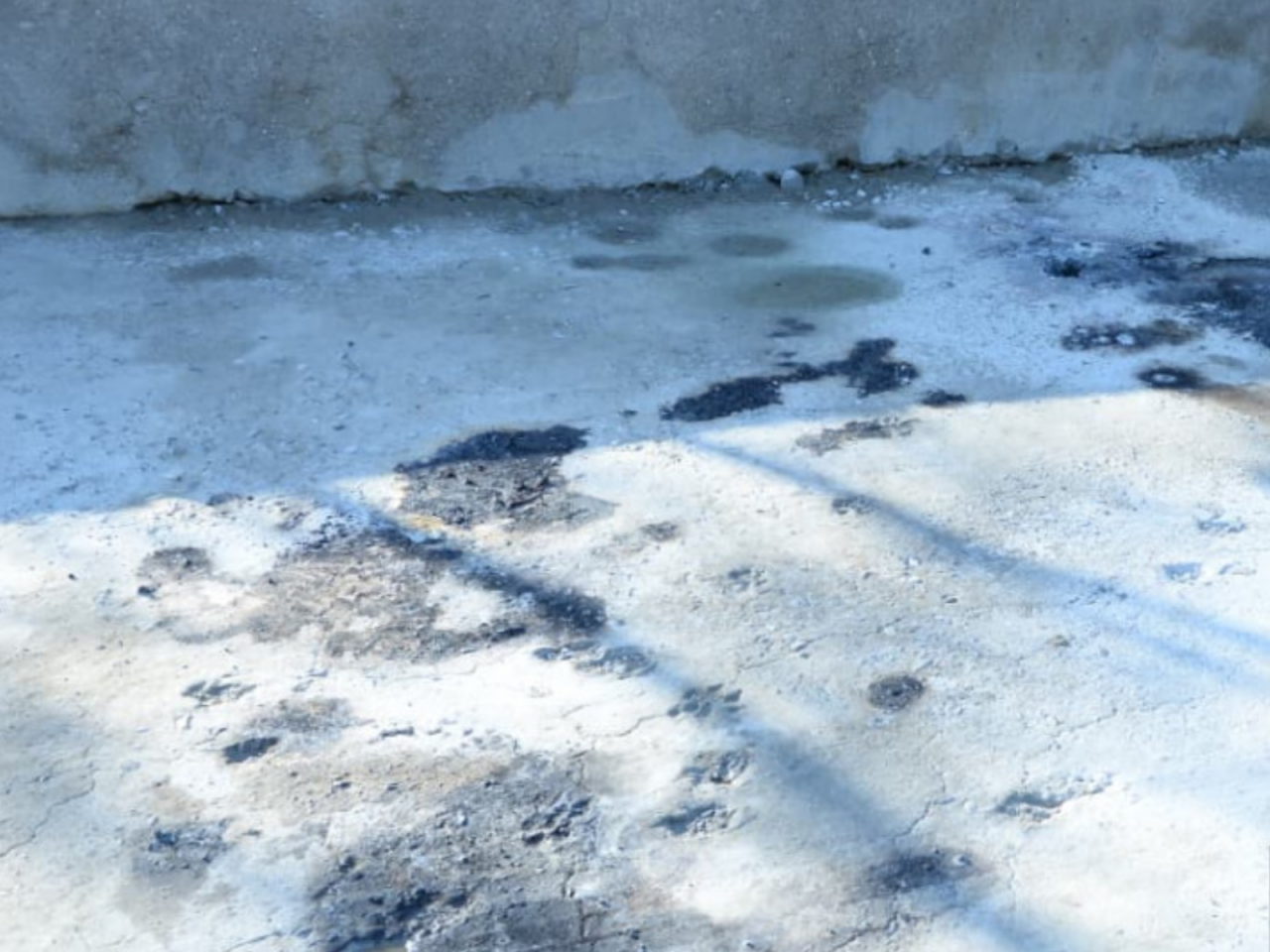 D&ouml;rd ofisiant yanaraq &ouml;l&uuml;bm&uuml;ş  Hadisə yerindən g&ouml;r&uuml;nt&uuml;lər 