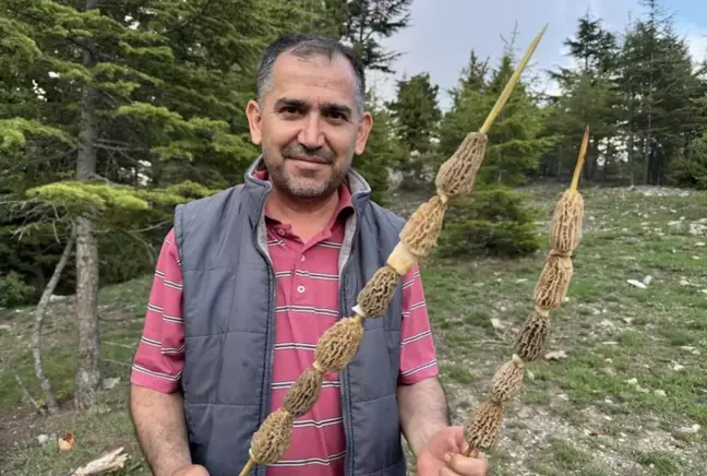 Kilosu 40 manata satılır  Bütün kənd bura axın edir
