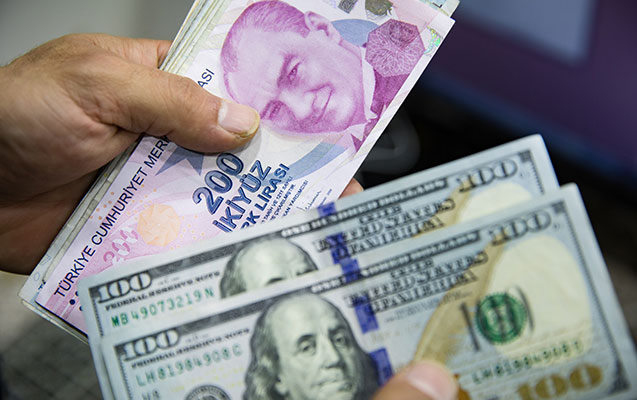 İki valyuta ucuzlaşdı, dollar isə...