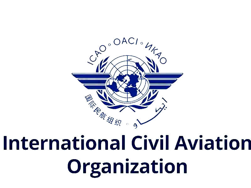 ICAO Qazaxıstanın AZALa məxsus təyyarənin qəzasının araşdırılmasına dair ilkin hesabatını yüksək qiymətləndirir