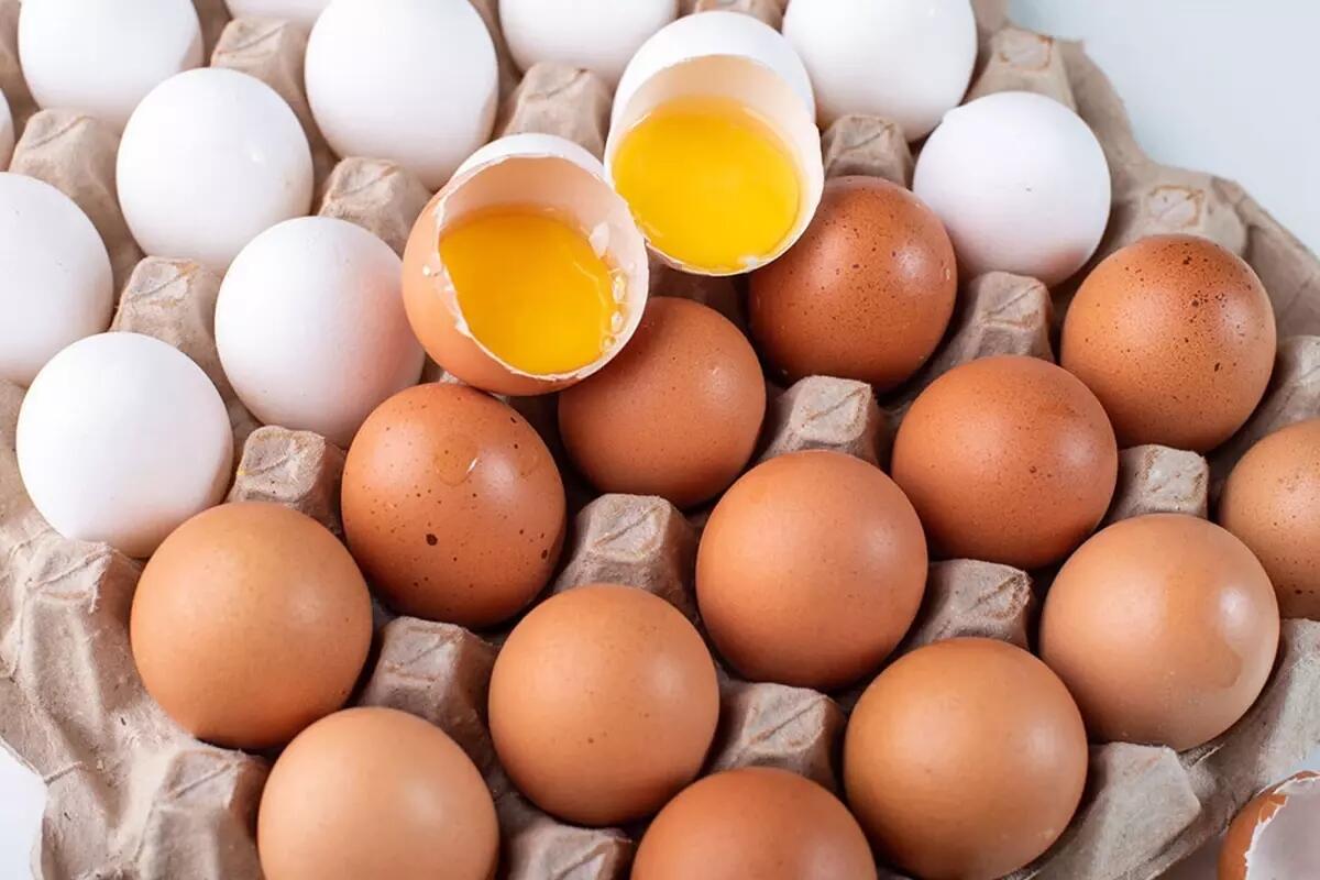 Yumurtalarda yeni dövr: Artıq bu şəkildə satılacaq