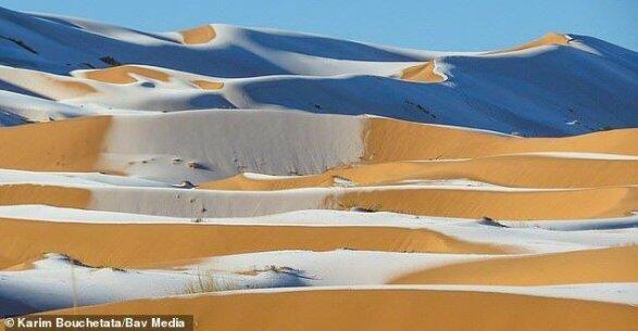 Sahara səhrası su altında qaldı 