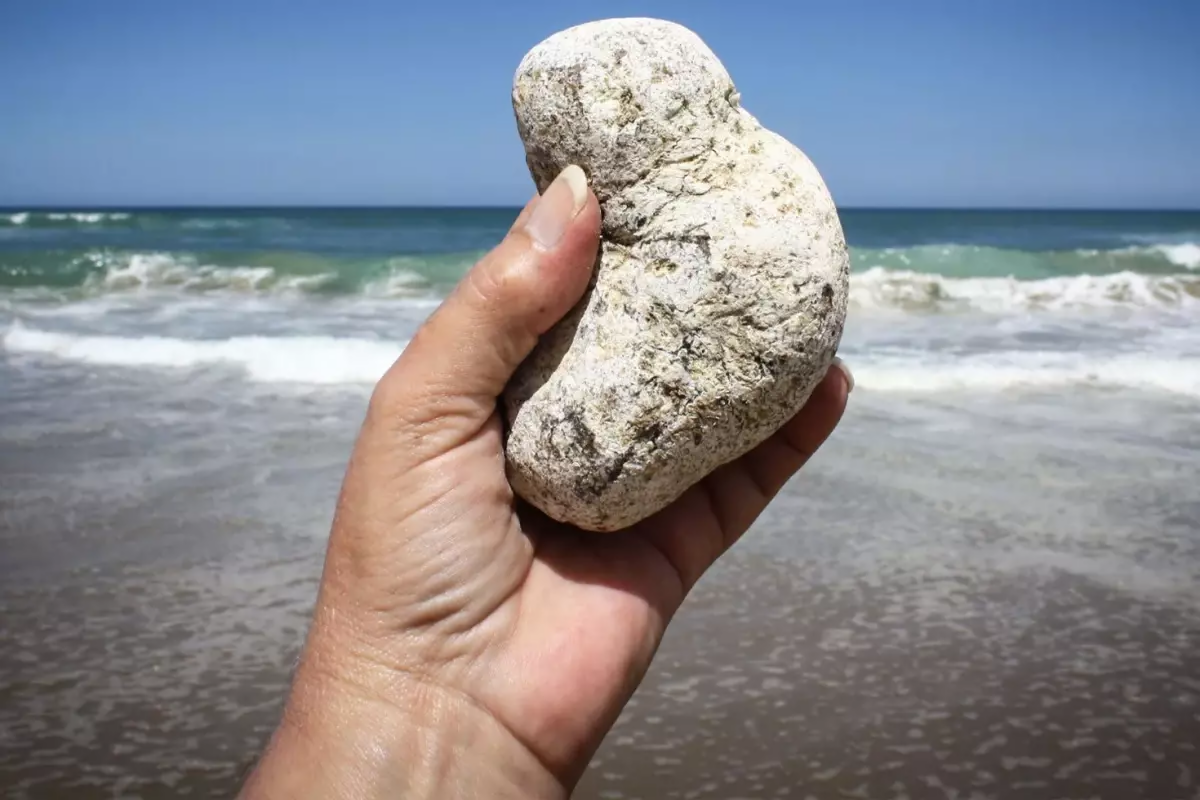 Adi bir daş kimi g&ouml;r&uuml;n&uuml;r, sahildə tapan varlanır 