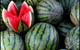 Qarpızın qabığına diqqət : Bu işarə təhlükə ola bilər