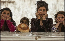 Qaraçılarla bağlı narahatlıq yaranarsa, nə etməli? – DİNdən açıqlama