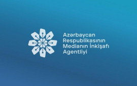 Media bu saytlara pul ayırdı