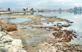 Xəzərin geri çəkilməsi hər sahəyə təsir etdi  Ekoloji təhlükə yaxınlaşır?