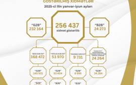 Bu ilin I yarısında KOB evlərində sahibkarlara 260 minə yaxın xidmət göstərilib