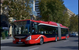 Bakıda ağac "Baku Bus" un üzərinə AŞDI 