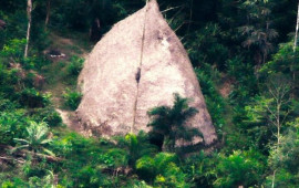 Amazon meşələrində 2,5 min illik yaşayış məskənləri aşkarlanıb