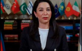 "Ermənistan onların basdırıldığı yerlər barədə dəqiq məlumat verməlidir"