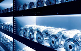 Alimlər "Qiyamət anbarı"nı a&ccedil;dı: Toxumlar sahəyə &ccedil;ıxır