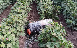 İrandan PUA ilə Azərbaycana narkotik keçirilməsinin qarşısı alınıb 