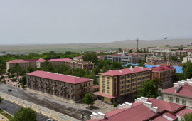 Azərbaycanda g&ouml;r&uuml;nən heyvan təəcc&uuml;b doğurdu: Beləsi hələ olmayıb &ndash; VİDEO