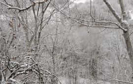 Ağdərəyə ilk qar yağdı 