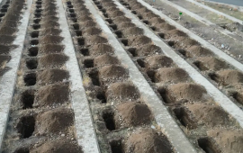 Təcili 500 məzar qazıldı  Türkiyədə diqqətçəkən hazırlıq 