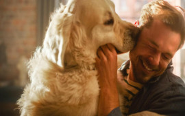 İt sahibi olmaq sağlamlığa faydalıdır