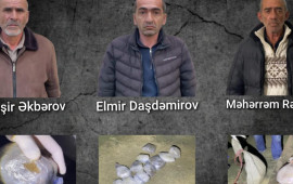 Lerikdə özlərini  "meyvə satıcısı" kimi tanıdan narkokuryerlər saxlanıldı