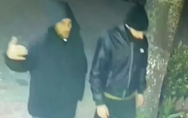 Bakıda silsilə oğurluqlar edən qardaşlar saxlanıldı 