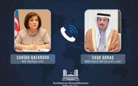 Sahibə Qafarova BƏƏ Federal Milli Şurasının sədri ilə İranın əsassız h&uuml;cumlarını m&uuml;zakirə edib