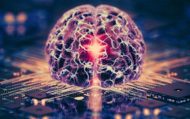 Əsl insan beynindən hazırlanan kompüterlər gəlir