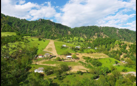 "Bu kənddə qazı olmayana qız vermirlər"