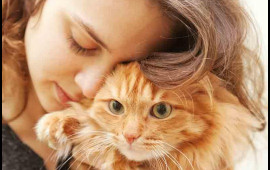 Tək cızıq kifayətdir: Pişiklərdən insanlara ke&ccedil;ən g&ouml;bələk n&ouml;v&uuml; aşkar edildi