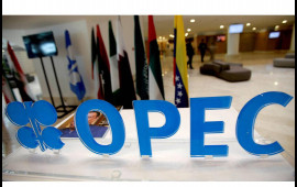 Neft hasilatını azaltmaq qərarı: OPEC+ daxilində yeni konfiqurasiya?