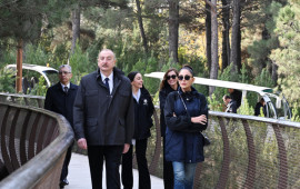 Prezident Mərkəzi Nəbatat Bağının açılışında iştirak edib  FOTO