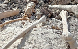 Ağdamda insan sümüyü fraqmentləri aşkarlandı