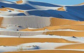 Sahara səhrası su altında qaldı 