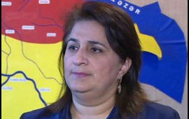 Gülşad Məmmədovadan havaların isti keçməsi ilə bağlı AÇIQLAMA
