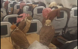 Quşları üçün 80 bilet aldı  FOTO