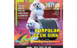 “Balacalar üçün Sirk” adlı teatr tamaşası bütün ailəni sevindirəcək