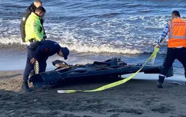 Rusiya PUAsı T&uuml;rkiyəyə d&uuml;şd&uuml; 